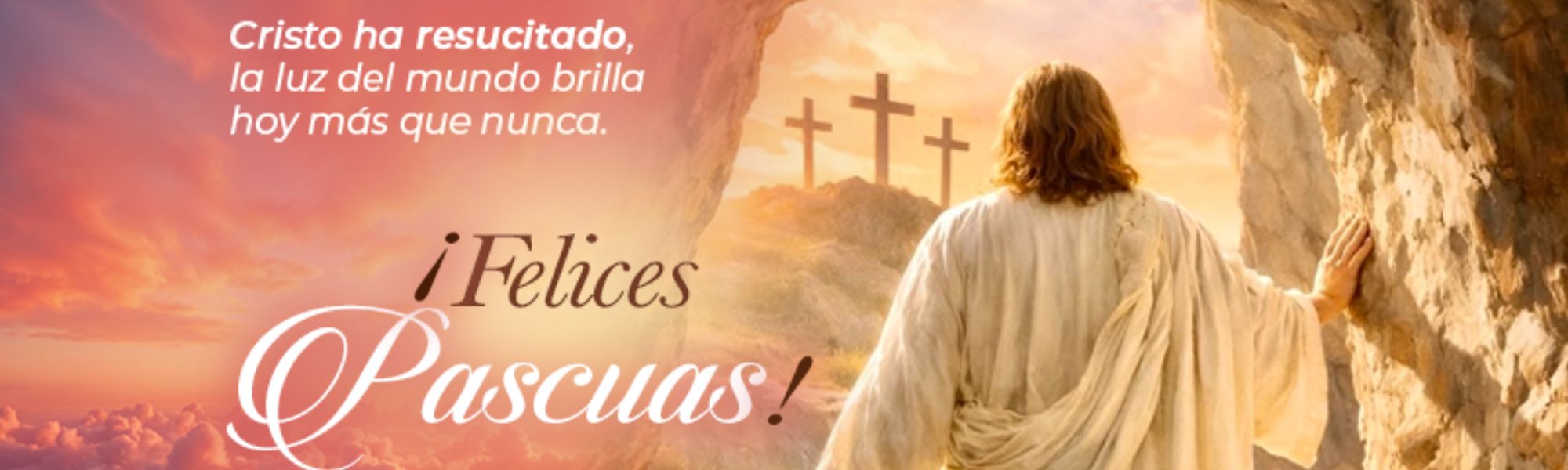 Banners principal pagina web