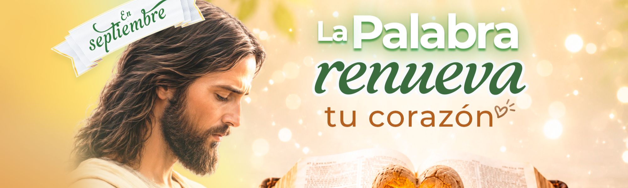 Banners principal pagina web (1)